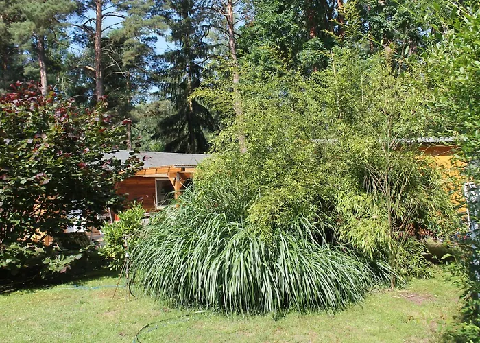 Haus Waldidyll am See 1